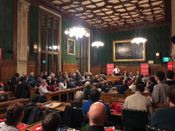 Remain Labour Rally in Parliament