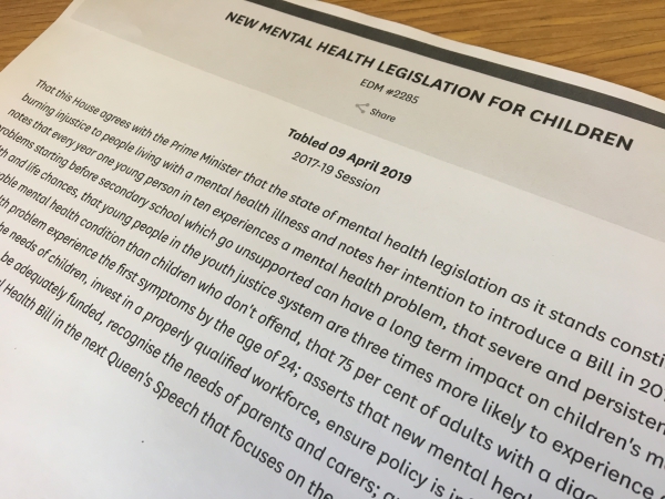 Children's Mental Health EDM